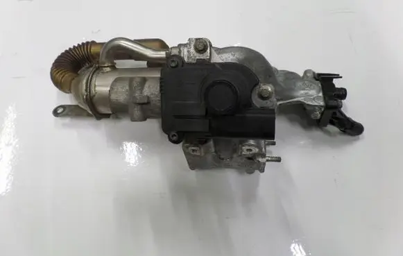 Renault Scenic III - Grand scenic III EGR valve 8200282949