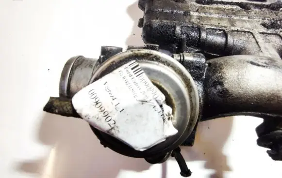 EGR valve