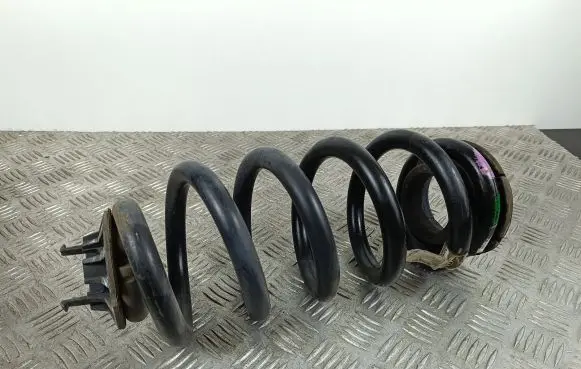 Dodge Durango Rear coil spring 05168260AB