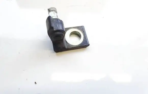 Skoda Yeti (5L) Rear door lower hinge