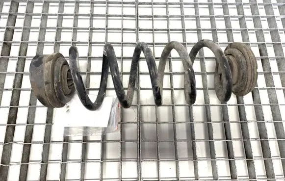 Rear coil spring