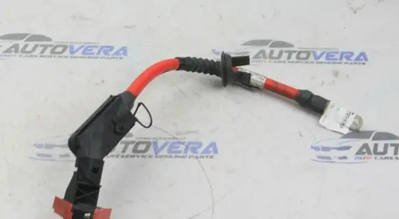 BMW X3 F25 Positive cable (battery) 9243645