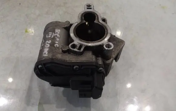 EGR valve