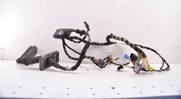 Volkswagen Golf VI Front door wiring loom 5K4971120EP