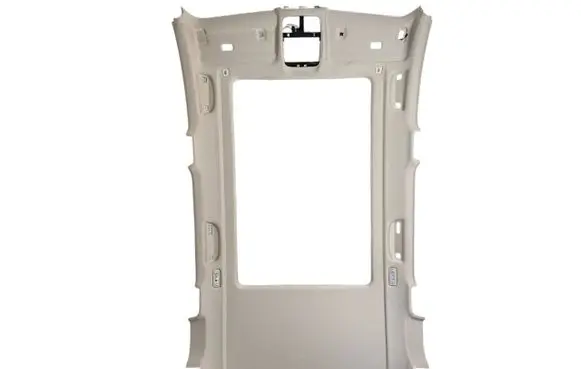 BMW X5 G05 Headlining 5A6D317 7314183 9184069