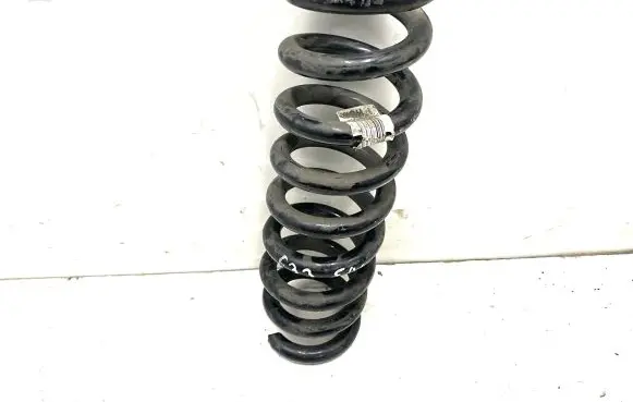 BMW 4 F32 F33 Rear coil spring 1234567