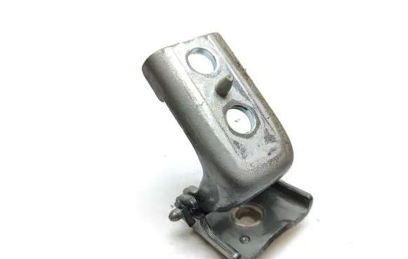 Citroen DS5 Front door lower hinge 