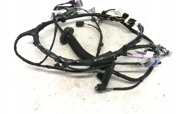 Tesla Model X Front door wiring loom 104725700D