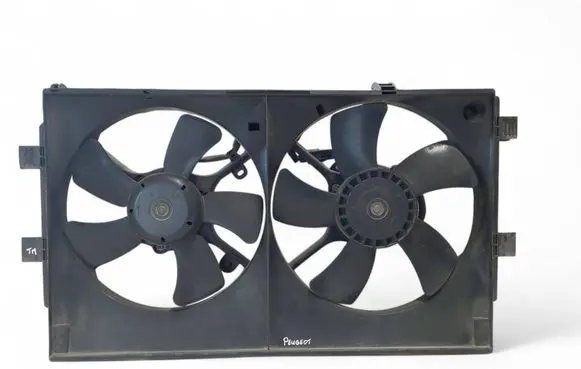 Peugeot 4007 Electric radiator cooling fan 3R021
