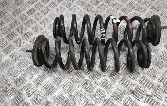 Rear coil spring