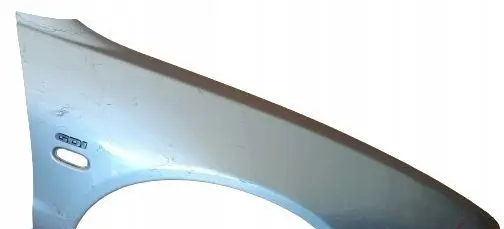 Mitsubishi Carisma Front arch trim 