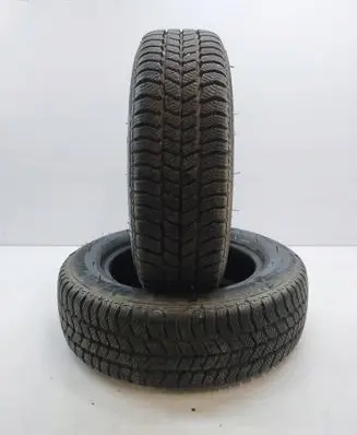 Renault Clio II R14 winter tire 