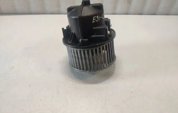 Heater fan/blower