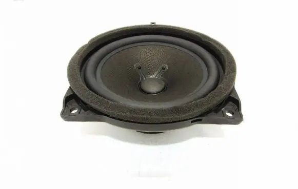 Rear door speaker
