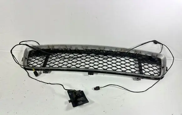 BMW X5 E70 Front bumper lower grill