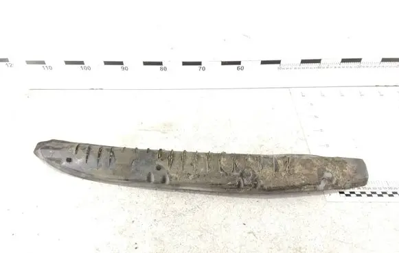 Mercedes-Benz R W251 Fender end trim 2518890225