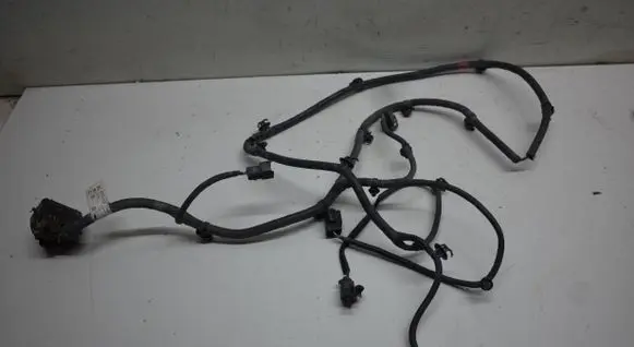 Other wiring loom