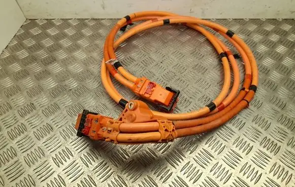 Tesla Model 3 Other wiring loom 110900300E