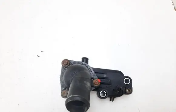 Thermostat/thermostat housing