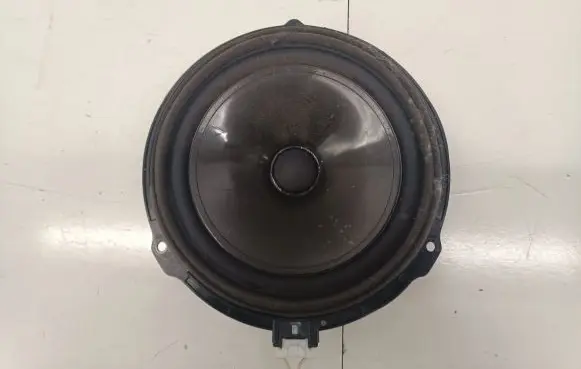 Front door speaker