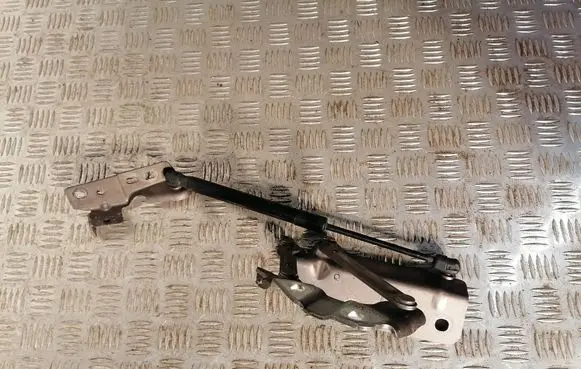 Land Rover Discovery Sport Engine bonnet/hood hinges FK7216801
