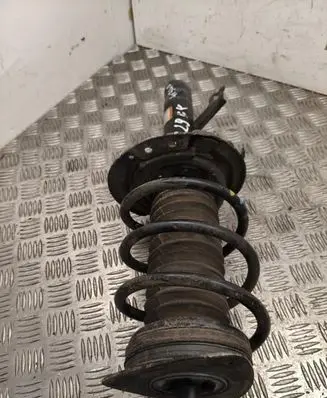 Renault Megane E-Tech Front shock absorber with coil spring 543037546R