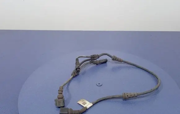 Porsche Panamera (970) Other wiring loom 971971279