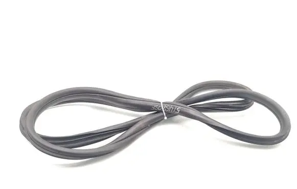 Fiat Punto (199) Front door rubber seal 