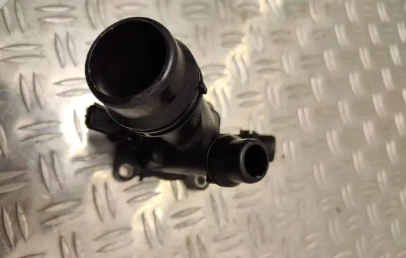 Thermostat/thermostat housing