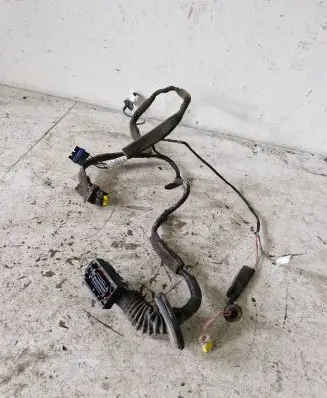 Renault Scenic II - Grand scenic II Rear door wiring loom