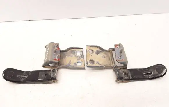 Citroen C4 Grand Picasso Tailgate/trunk/boot hinge