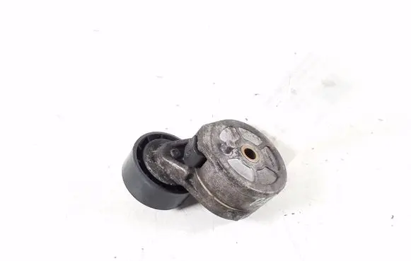 Peugeot 307 Timing belt/chain tensioner 