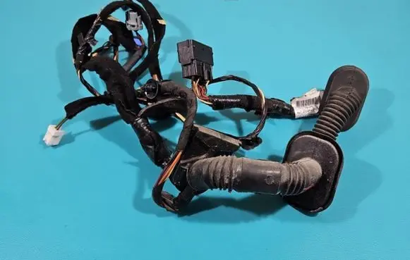 Front door wiring loom