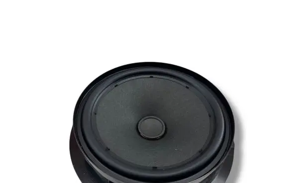 Volkswagen Golf VIII Rear door speaker 5H0035710 10325401