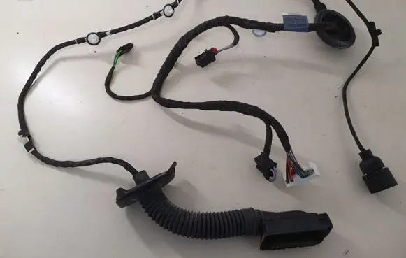 Rear door wiring loom