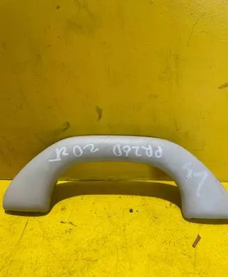 Volkswagen PASSAT B6 Front interior roof grab handle