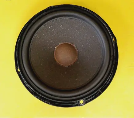 Front door speaker