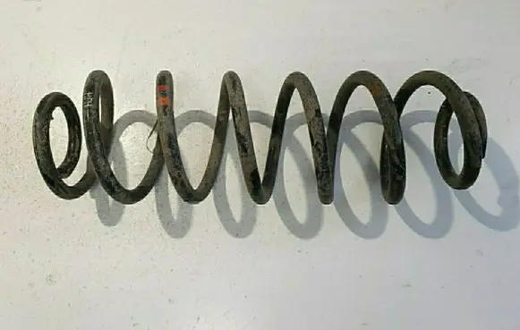 Rear coil spring