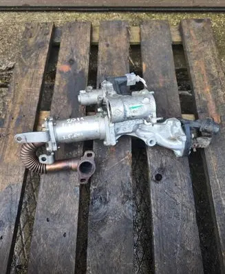 Renault Kangoo II EGR valve cooler 8200729079 10TJ07