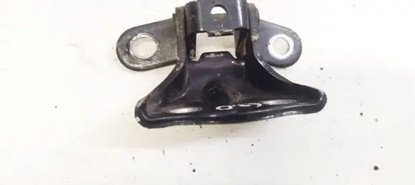 Rear door lower hinge