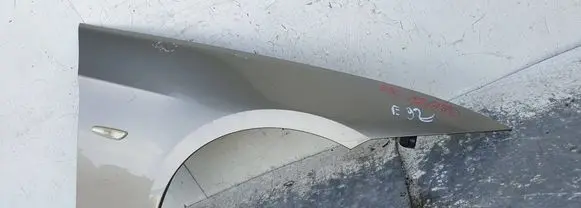Fender