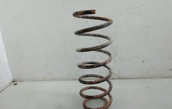 Front coil spring