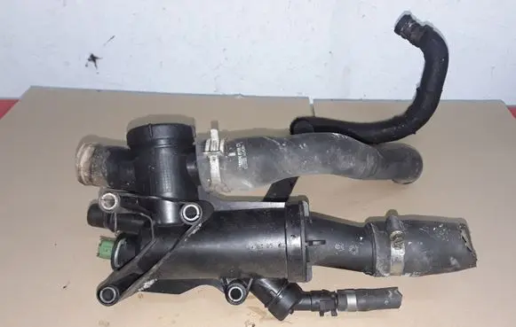 Thermostat/thermostat housing