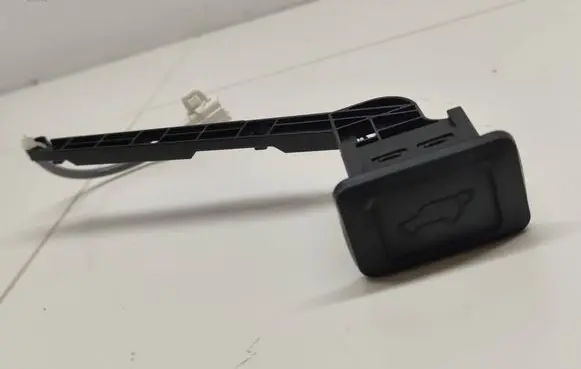 Toyota RAV 4 (XA50) Tailgate opening switch 