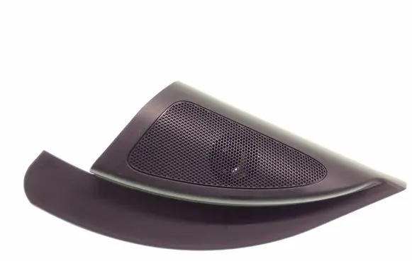 Front door high frequency speaker