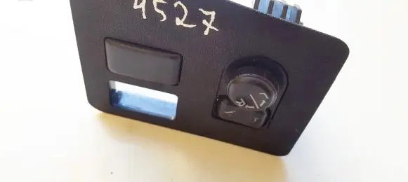 Wing mirror switch