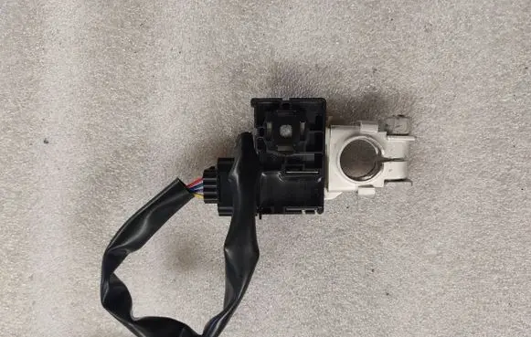 Nissan Leaf II (ZE1) Positive cable (battery) 210915150 0450AB