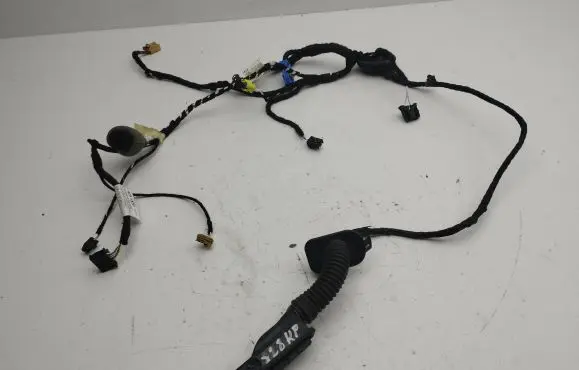 Volkswagen Golf VIII Front door wiring loom 5H4971161FQ
