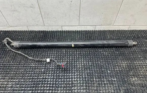 Tailgate strut