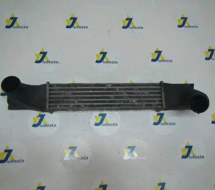 Opel Sintra Intercooler radiator 52482359